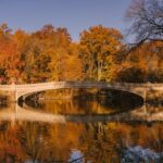 Aged Bow Bridge crossing calm water of lake surrounded by autumn trees placed in Central Park in New York in sunny day