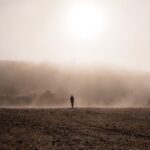 Silhouette Of Person Walking on Brown Field