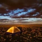 Set-up Brown Tent Surrounded by Flowers Under Cloudy Sky during Golden Hour