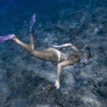 Anonymous lady swimming undersea near reef