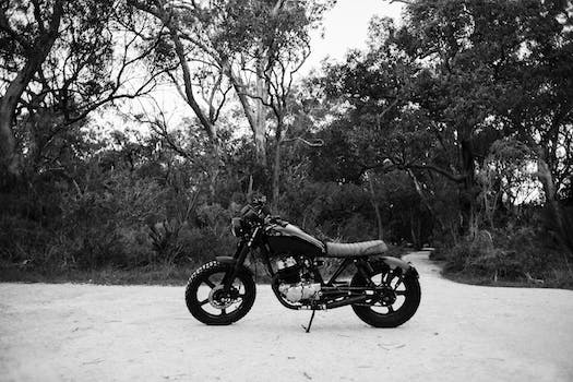 Black and white of metal motorcycle parked on sandy road near forest with deciduous trees and lush bushes