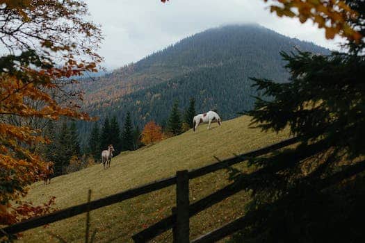 White and Brown Horses on Green Grass Field Near Green Trees and Mountain