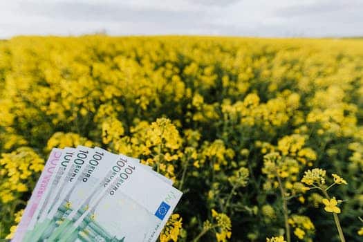 Various Russian paper banknotes located on picturesque view of bright blossom field on cloudy day