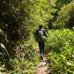 Person Carrying Green Backpack in Forest